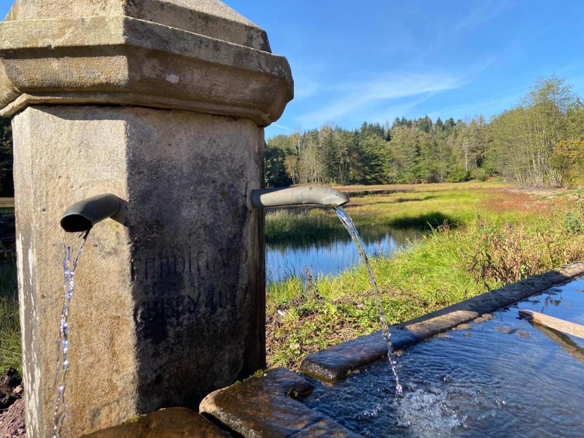 Gite Des Prary Des Mille Etangs Ternuay-Melay-et-Saint-Hilaire エクステリア 写真