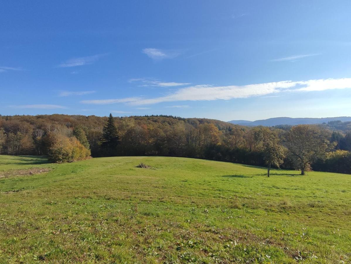 Gite Des Prary Des Mille Etangs Ternuay-Melay-et-Saint-Hilaire エクステリア 写真